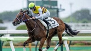 【函館5R新馬戦結果】サトノアラジン産駒ニシノラヴァンダが4馬身差快勝
