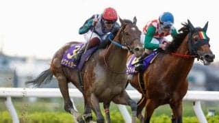 【浦和・さきたま杯枠順】今年からJpnI格上げ 連覇狙うイグナイターは5枠5番