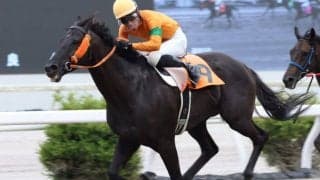 【高知競馬】雑賀正光調教師が地方通算4000勝を達成