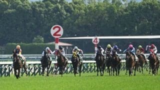 【JRA・WIN5】本日のWIN5は的中208票、配当247万8270円