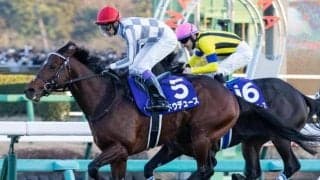 上半期の総決算 グランプリ・宝塚記念など2重賞/今週の競馬界の見どころ