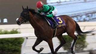 【高知優駿】プリフロオールインが8連勝で高知二冠…宮川「全国に通用する馬」