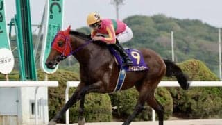 【佐賀がばいスプリント】飛田「馬が頑張ってくれた」…テイエムフェローが快勝