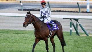 【宝塚記念登録馬】ドウデュースなど13頭