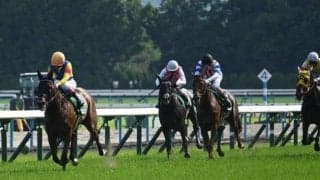 【マーメイドS】売上は84億2413万700円で昨年より約30億円増加