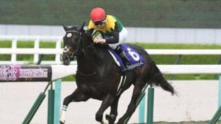 95年の2分10秒2は当時の日本レコード 宝塚記念の勝ち時計ランキング