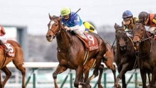 【先週のJRA抹消馬】AJCC覇者アリストテレス、芝短距離で活躍のカイザーメランジェなど