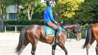 重賞3勝プリモシーンの初仔が初陣 母も管理した木村師「立派な体つき」/関東馬メイクデビュー情報