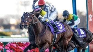 【宝塚記念想定騎手】ドウデュースは武豊騎手、ジャスティンパレスはC.ルメール騎手