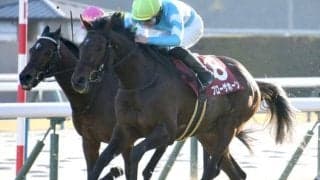 【宝塚記念展望】今年は京都開催も、スタミナが要求されることになりそう