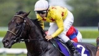 レース史上初の8歳馬Vへ 重賞3勝の古豪が宝塚記念制覇を狙う