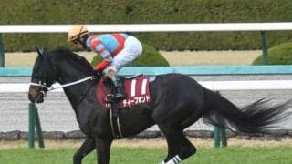 “連対率44.4%”と断然の好成績 京都で行われる宝塚記念で狙いたい血統とは？