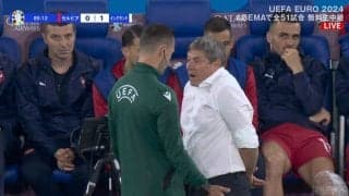 何があった？ ジャッジに猛抗議でイエローカードをもらっても“かわいすぎ”なストイコビッチ監督の姿にファン大ウケ「さすがピクシー」「テディベアみたい」