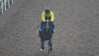 ジーティーダーリンなど、先週のゲート試験/栗東トレセンニュース