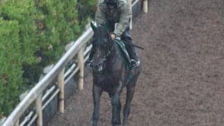 サヴォーナなど、先週の入厩情報/栗東トレセンニュース