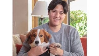 ソファにちょこん…王冠かぶったデコピンが「かわいい」　大谷の“1歳祝い”に反響