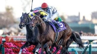 【宝塚記念予想オッズ】ドウデュースが予想1番人気