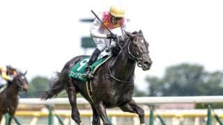 【東京JS予想オッズ】ジューンベロシティが予想1番人気