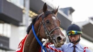 さきたま杯を「枠順」「騎手」「脚質」から分析 先行争いが激化しそうな中で注目馬は？