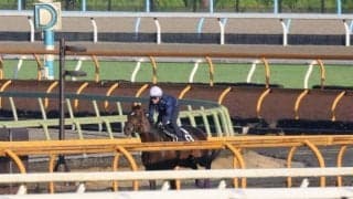 サトノシュトラーセ、ラジオNIKKEI賞1週前追い切り速報/栗東トレセンニュース