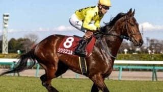 【ラジオNIKKEI賞想定】シリウスコルトやミナデオロなど12頭