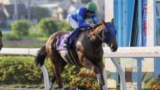 【さきたま杯】断然人気レモンポップが完勝