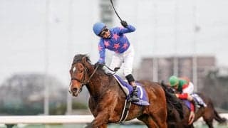 金子光希騎手がフリーに所属変更