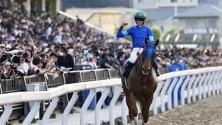 【さきたま杯】坂井瑠「日本では底を見せていない」レモンポップが断然の人気に応える