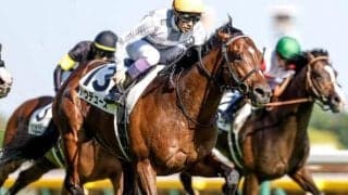 【宝塚記念予想】穴党のAIが推奨した一頭はまさかの人気の一角