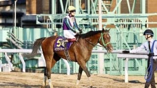 【さきたま杯】笹川翼「馬自身ももうひと馬力付いてきた感じ」兵庫イグナイターは惜しくも2着