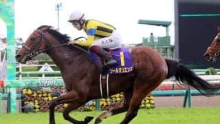 宝塚記念は、直近２年の勝ち馬と似た血統の４歳馬とレースとの相性がいい血筋の７歳馬に期待