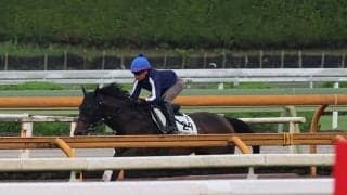 サウンドビバーチェ、北九州記念1週前追い切り速報/栗東トレセンニュース