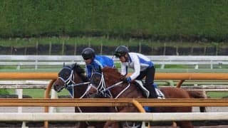 キングズソード＆セラフィックコール、帝王賞追い切り速報/栗東トレセンニュース