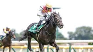 【東京JS出走馬・騎手確定】ジューンベロシティ＆高田潤騎手、オールザワールド＆森一馬騎手など14頭