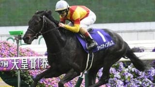 【宝塚記念・調教後馬体重】ジャスティンパレスは480kg、ドウデュースは512kg