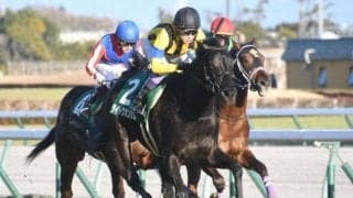 ディープ最終世代の重賞馬 ライトクオンタムが抹消・繁殖入り