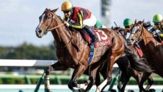 宝塚記念でエアグルーヴ一族の悲願達成へ ローシャムパークが2度目のGI挑戦