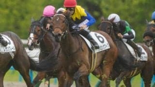 友道康夫厩舎×金子真人オーナーの2億円馬 秋の大舞台に向け負けられない一戦