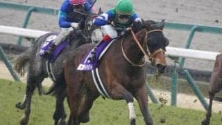 重賞6勝馬メイケイエールの全弟が待望デビュー 姉に続く初陣V狙う