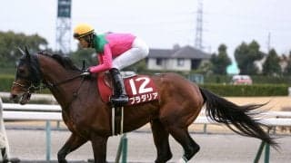 宝塚記念は渋化馬場で「荒れる」可能性大！ 夏のビッグボーナスをもたらすのはこの２頭だ