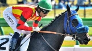 アロゲート産駒の超良血馬が連勝狙う 勝ちっぷりにも要注目