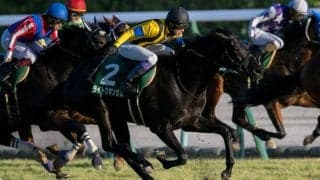 ライトクオンタムの競走馬登録抹消…シンザン記念V