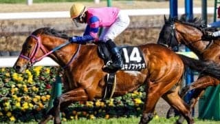 函館芝は徐々に外差しが決まるように ユキノファラオの大外一気があるかも