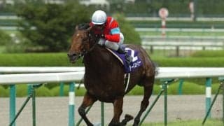 宝塚記念で好成績を残している馬齢は？ ベテラン勢には厳しいデータも