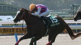 【北九州記念想定馬・騎手】ジャスパークローネ、ピューロマジックなど22頭