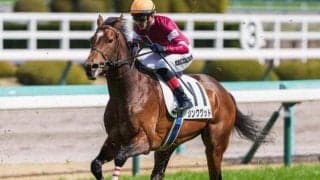 「ウマ娘」藤田晋オーナー×福永祐一厩舎の約2億円馬 初ダート＆3kg減今村聖奈騎手起用で一変狙う