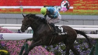 宝塚記念のカギは京都開催と道悪馬場--そのふたつがプラスに働く穴馬候補とは？