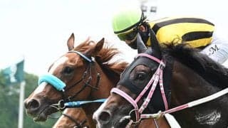【京都5R新馬戦結果】モーリス産駒ラプラーニュが接戦を制す