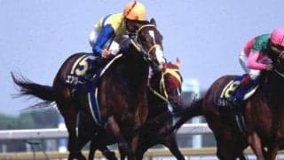 「エアグルーヴ2×3」を持つスワーヴリチャードの甥 日曜京都4Rで初陣