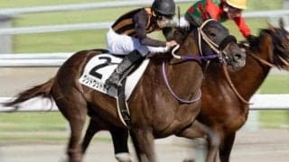 タレント堺正章氏の所有馬 「星3つ」ならぬ3連勝でOP入りなるか